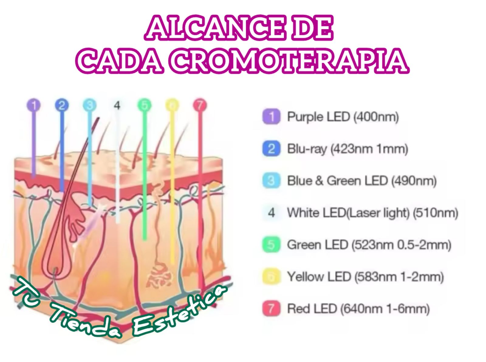 CAMARA FOTODINAMICA CABINA LED - Imagen 2